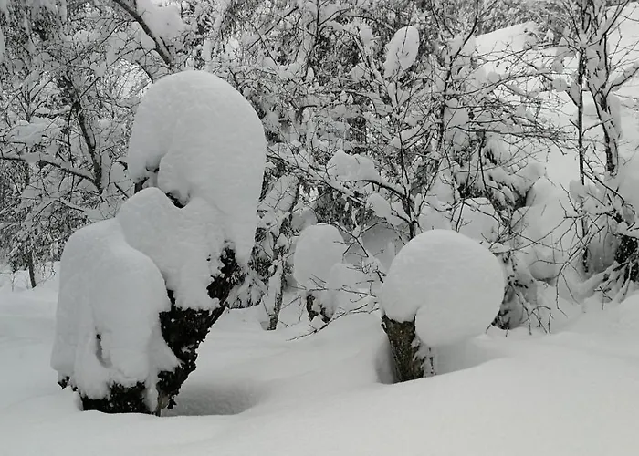 Waidmannsruh 4* Герлос